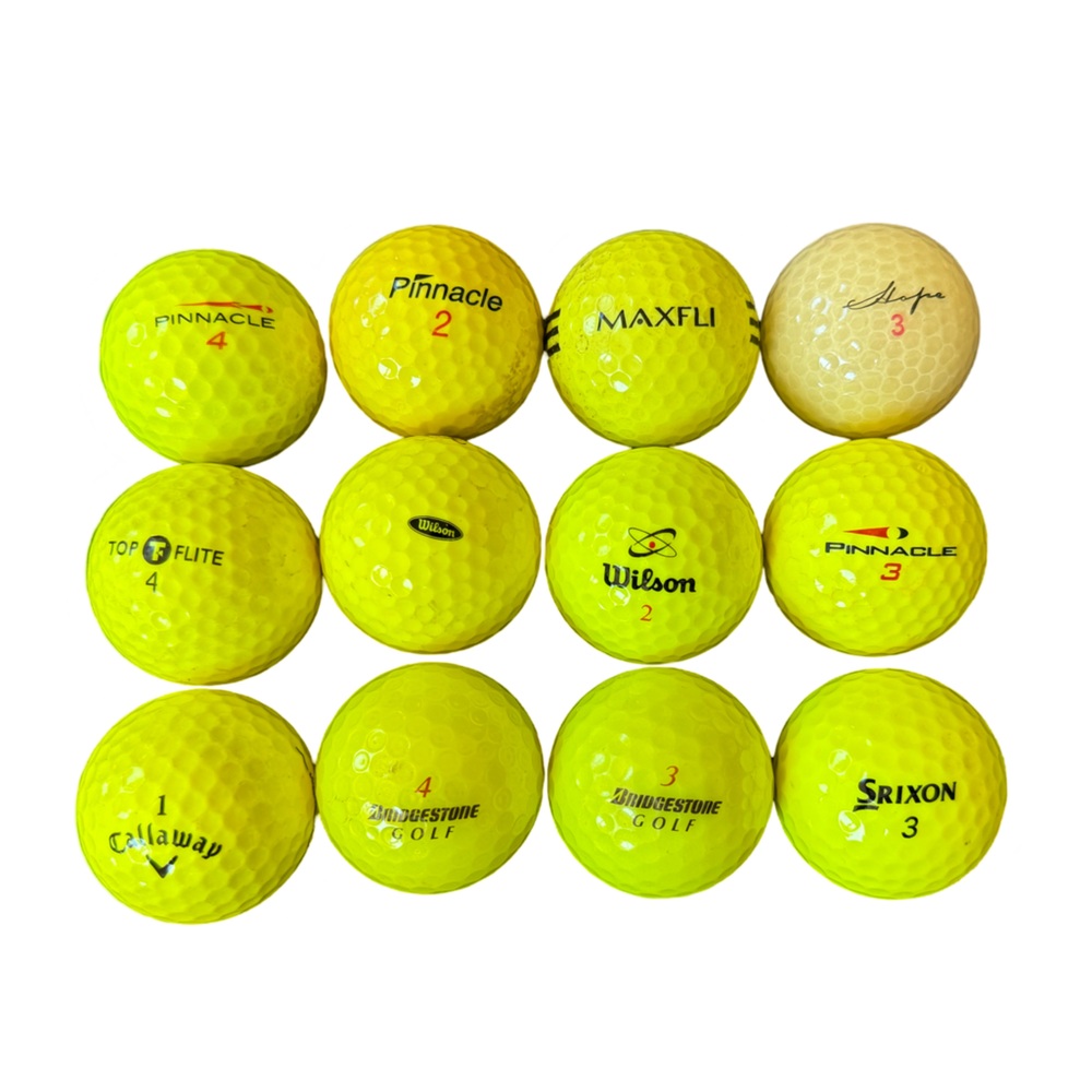 Lot of 12 Used Golf Balls - Assorted Brands